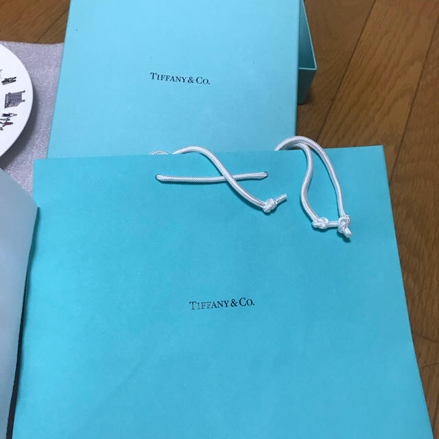 Tiffany & Co.(ティファニー)の【新品】ティファニー お皿 2枚セット  直径19センチ  箱と袋つき！ インテリア/住まい/日用品のキッチン/食器(食器)の商品写真