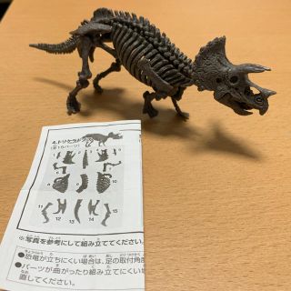 恐竜骨格ミュージアム カプセルコレクション 立体パズル トリケラトプス(その他)
