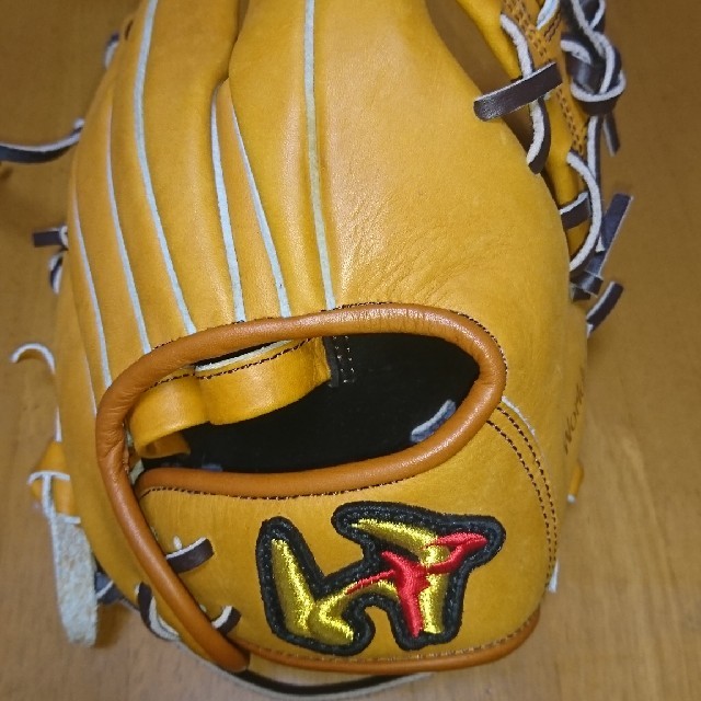 ワールドペガサス トレーニンググローブ