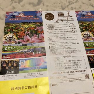 ランプカフェ 箱館山コキアパークゴンドラチケット(遊園地/テーマパーク)