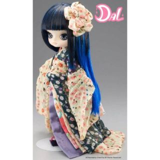 未開封★ダル Dal 花菖蒲