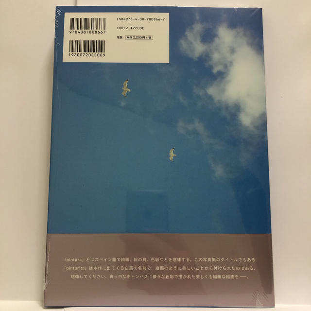 【未開封・未読・新品】池田エライザ ファースト写真集 pinturita エンタメ/ホビーの本(ファッション/美容)の商品写真