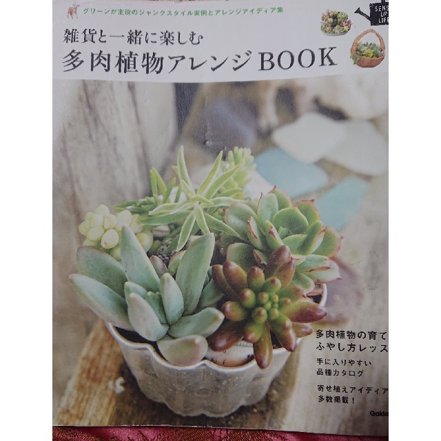 雑貨と一緒に楽しむ多肉植物アレンジBOOK エンタメ/ホビーの本(ビジネス/経済)の商品写真