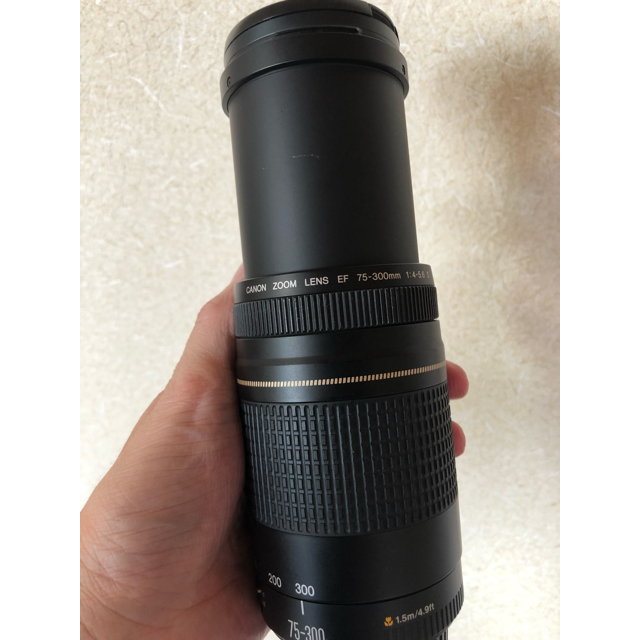 Canon(キヤノン)のゆしさん 専用 Canon  EF 75-300mm F4-5.6 II スマホ/家電/カメラのカメラ(レンズ(ズーム))の商品写真