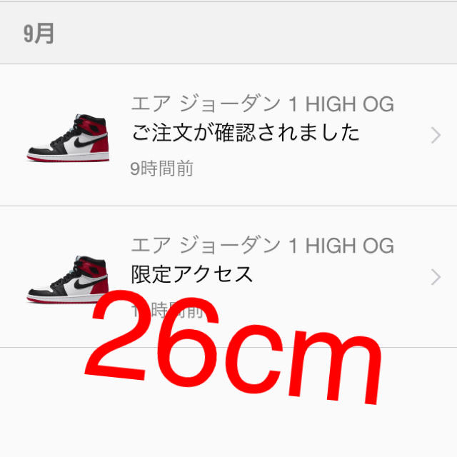 NIKE エアジョーダン  サテン aj1 メンズの靴/シューズ(スニーカー)の商品写真