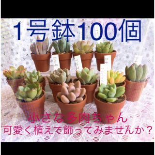 ミニプラ植木鉢 1寸  1号100個ハンドメイド材料にも(プランター)