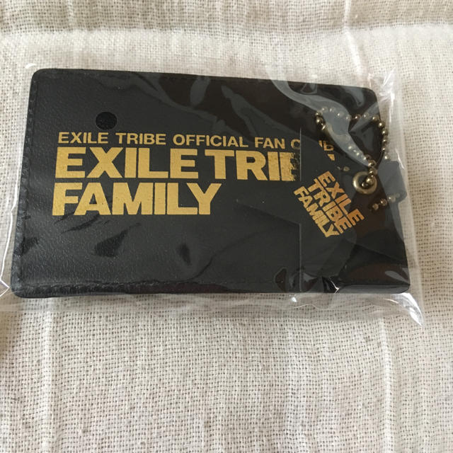 EXILE(エグザイル)のEXILE TRIBE FAMILY 特典 エンタメ/ホビーのタレントグッズ(ミュージシャン)の商品写真