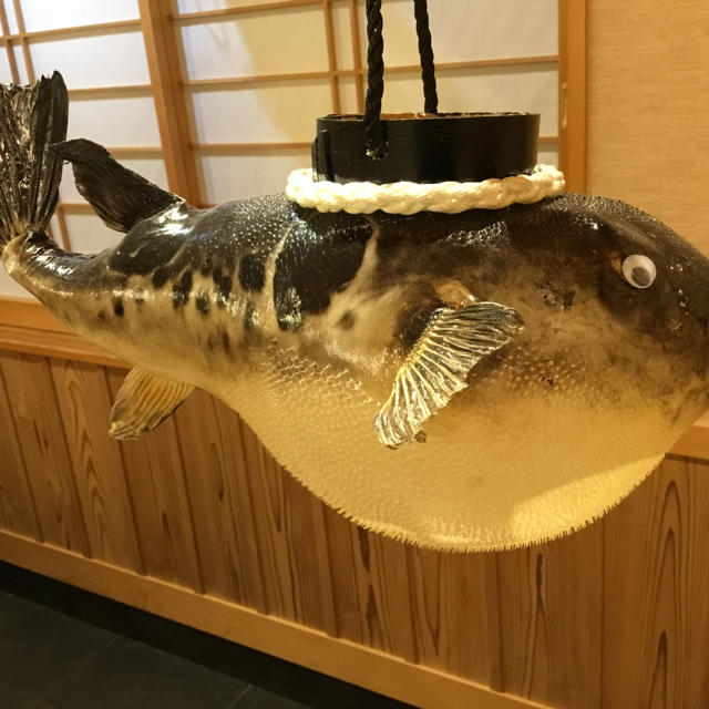天然とらふぐ 手作り ふぐちょうちん お店のディスプレイにいかがです ...