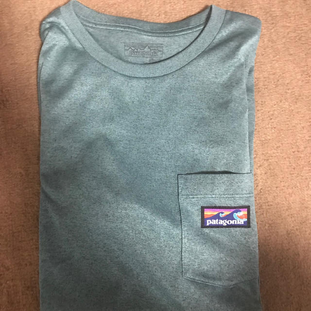 patagonia(パタゴニア)のパタゴニアtシャツ メンズのトップス(Tシャツ/カットソー(半袖/袖なし))の商品写真