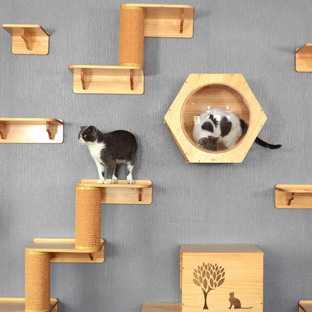 キャットタワーキャットウォーク用ステップdiy足場の通販 By モグコ S Shop ラクマ キャットタワーキャットウォーク用ステップdiy足場の通販 By モグコ S Shop ラクマ