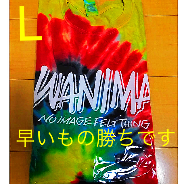 WANIMA(ワニマ)のWANIMA タイダイTシャツ Lサイズ エンタメ/ホビーのタレントグッズ(ミュージシャン)の商品写真