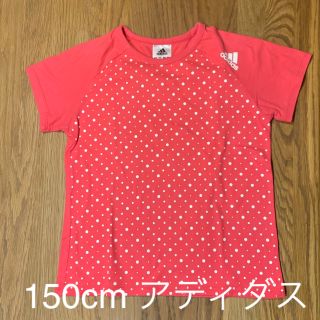 アディダス(adidas)のアディダス（adidas）Ｔシャツ size 150(Tシャツ/カットソー)