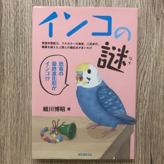 インコの謎(趣味/スポーツ/実用)