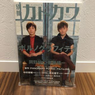 ポルノグラフィティ(ポルノグラフィティ)の別冊カドカワ総力特集ポルノグラフィティ(アート/エンタメ)