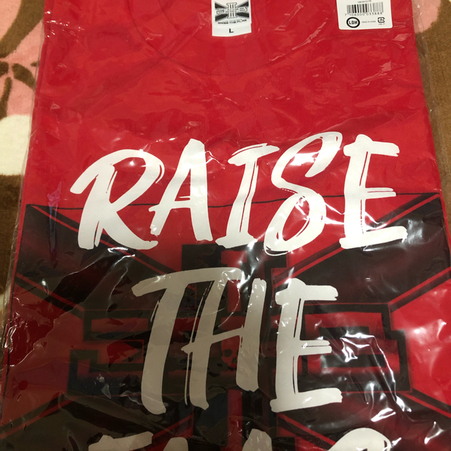 RAISE THE FLAG Tシャツ RED  赤  Lサイズ 1