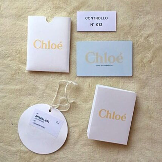 Chloe(クロエ)のクロエ パラティＭ カシミヤグレー 美品 レディースのバッグ(ハンドバッグ)の商品写真