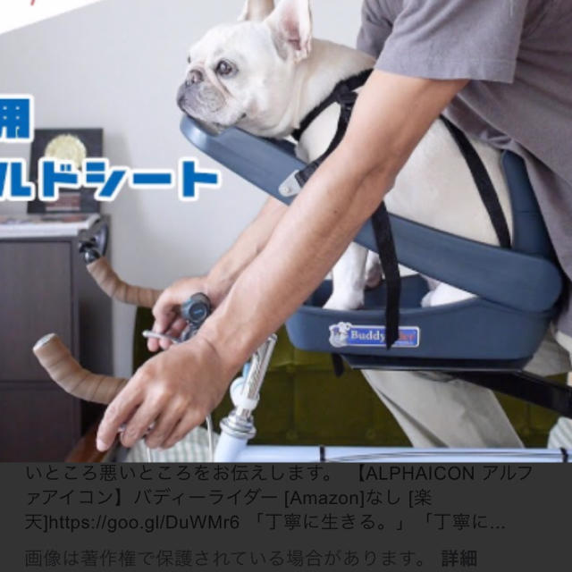 バディーライダー その他のペット用品(犬)の商品写真