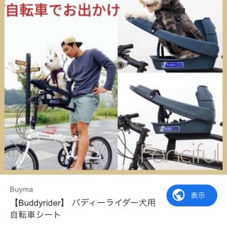 バディーライダー