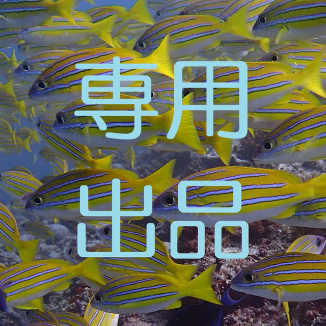 ペットDVD