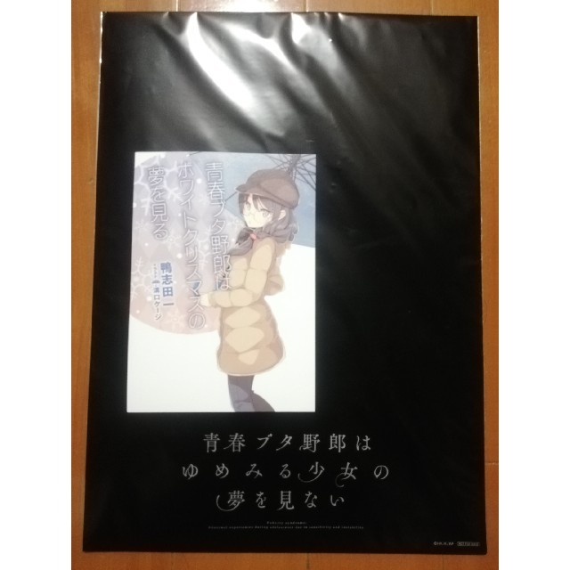 青春ブタ野郎　映画特典　ポストカード　クリアファイル　桜島麻衣　新品　未開封 エンタメ/ホビーのアニメグッズ(クリアファイル)の商品写真