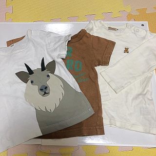 ミキハウス(mikihouse)の子供服(Tシャツ/カットソー)