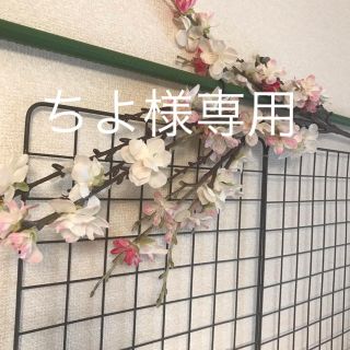 ちよ様専用(エコバッグ)