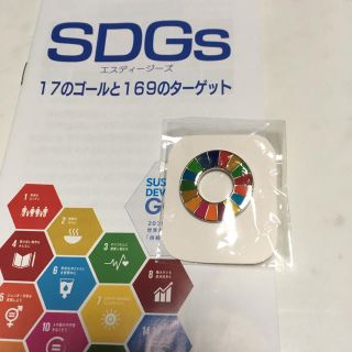 国連 SDGs １７のゴールと１６９のターゲットバッチ(バッジ/ピンバッジ)