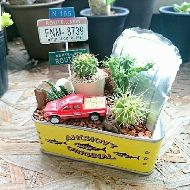 ぽぽ様専用 多肉植物  サボテン  寄せ植え ハンドメイドのフラワー/ガーデン(その他)の商品写真