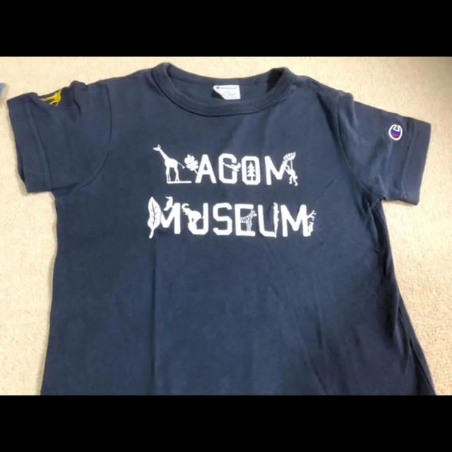 Champion(チャンピオン)のTシャツ 120 チャンピオン キッズ/ベビー/マタニティのキッズ服男の子用(90cm~)(Tシャツ/カットソー)の商品写真