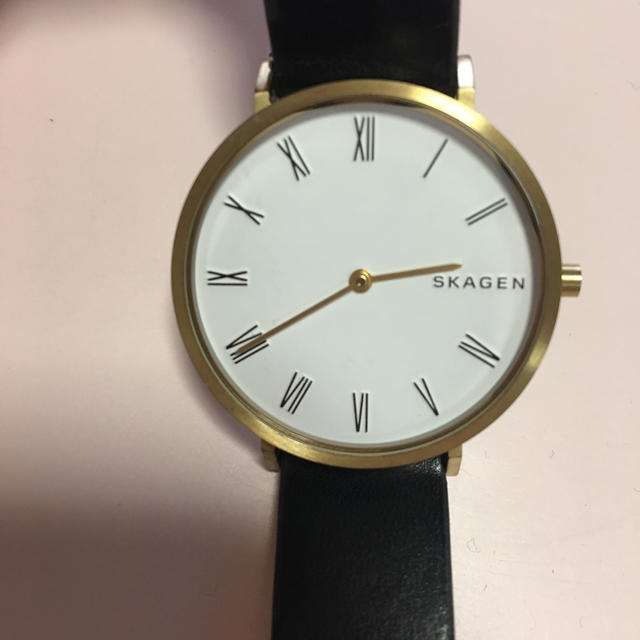 SKAGEN(スカーゲン)の【未使用】SKAGENの腕時計 レディースのファッション小物(腕時計)の商品写真