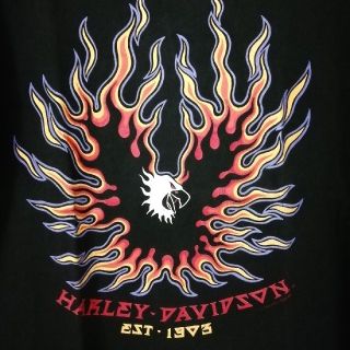 ハーレーダビッドソン(Harley Davidson)のユージ様ご専用   HARLEY－DAVIDSON  Tシャツ  Mサイズ(Tシャツ/カットソー(半袖/袖なし))