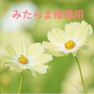 みたらま様専用(カラージェル)
