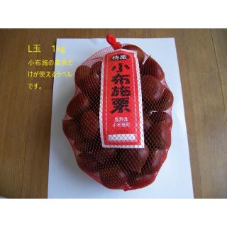 信州　小布施栗　Ｌ玉1㌔ 2300円（ ラ1）(フルーツ)