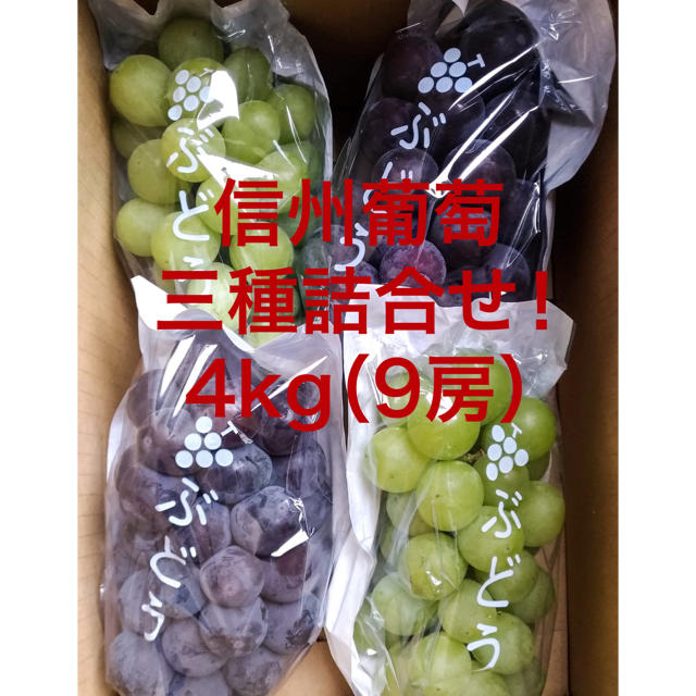 信州葡萄詰合せ　巨峰　黄甘　ピオーネ　種無し　4kg(9房) ブドウ ぶどう 食品/飲料/酒の食品(フルーツ)の商品写真