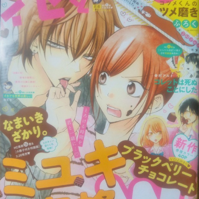 白泉社(ハクセンシャ)の花とゆめ2019年2/20号5号 エンタメ/ホビーの漫画(漫画雑誌)の商品写真