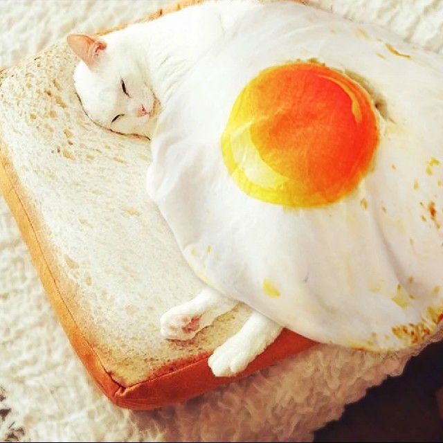 犬 猫 食パン トーストクッションベッド 目玉焼きブランケットセット 新品未使用 フリマアプリ ラクマ