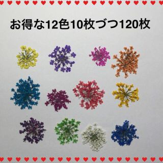 レースフラワー 押し花 120枚×2(ネイル用品)