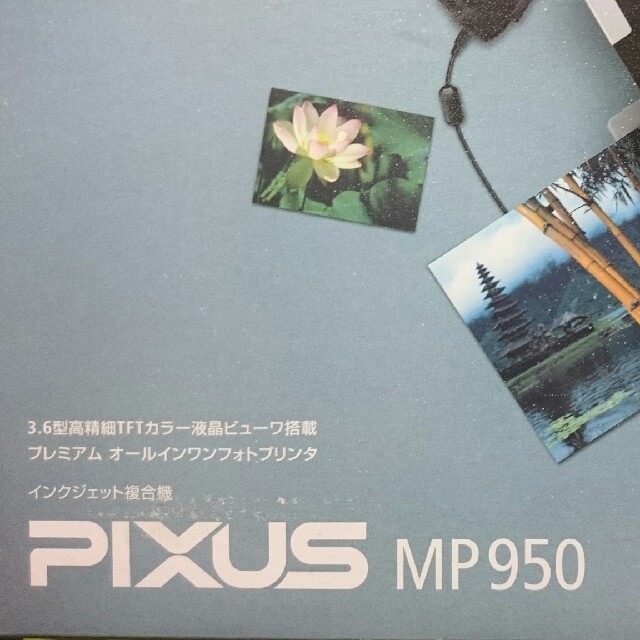 文化勲章受章 楠部彌弌作 色絵 花文 花瓶 共箱 M R4817B begnins.ch