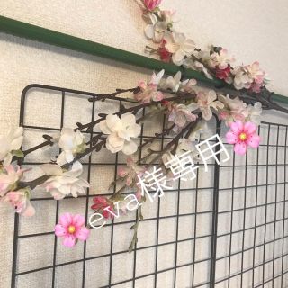 🌸eva様専用(スキニーパンツ)