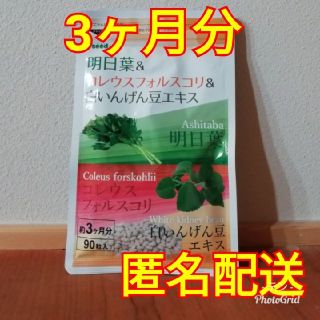 明日葉＆コレウスフォルスコリ＆白いんげん豆エキス 3ヵ月分(ダイエット食品)