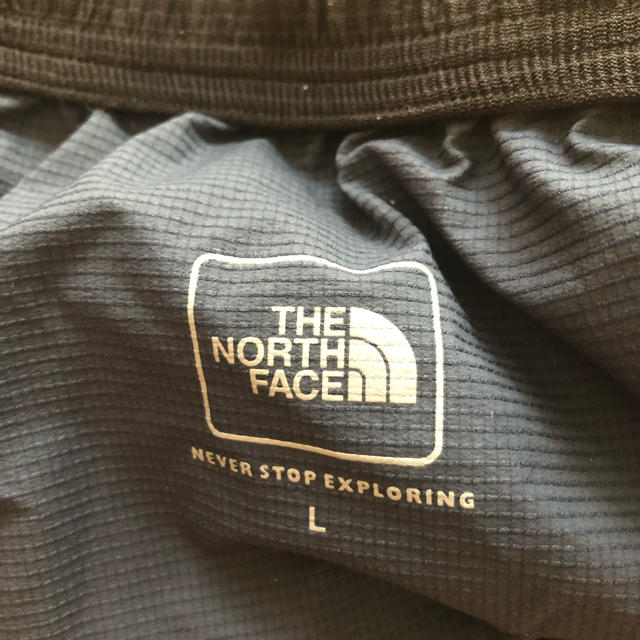 THE NORTH FACE(ザノースフェイス)のノースフェイス スワローテイル ベント ハーフパンツ L メンズのパンツ(ショートパンツ)の商品写真