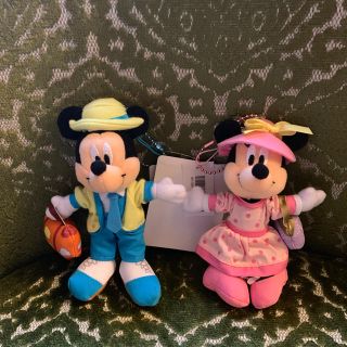 ディズニー(Disney)のバケーションパッケージ (キャラクターグッズ)