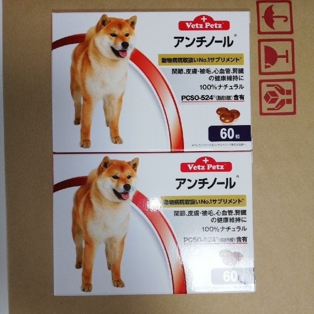 犬用アンチノール60粒入り新品未開封　20箱