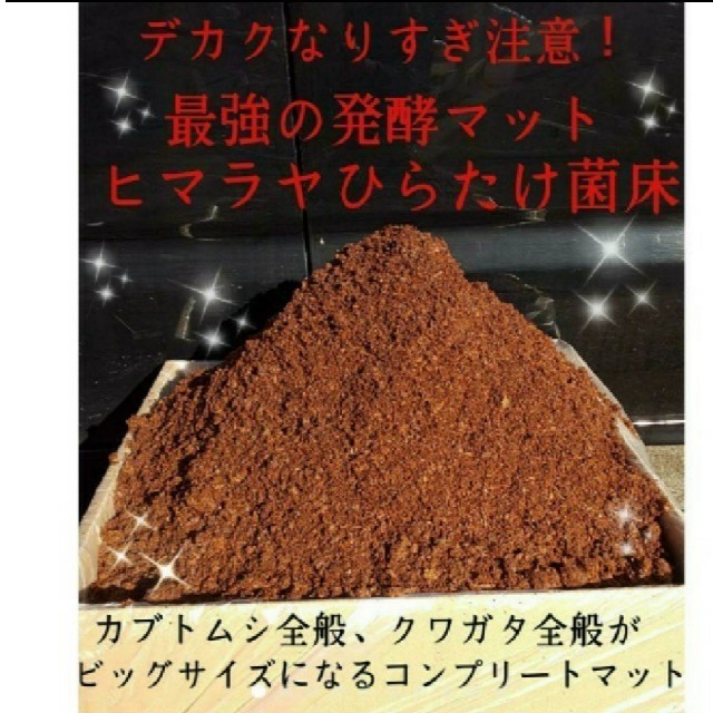 送料無料60ℓ、カブトムシ幼虫の餌！巨大化！ヒマラヤひらたけ発酵マット