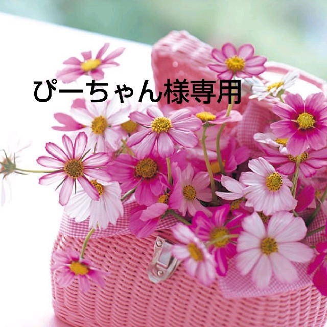 ぴーちゃん様専用 www.ransomracing.com
