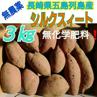 無農薬栽培❗《シルクスィート３㎏》長崎県五島列島より(野菜)