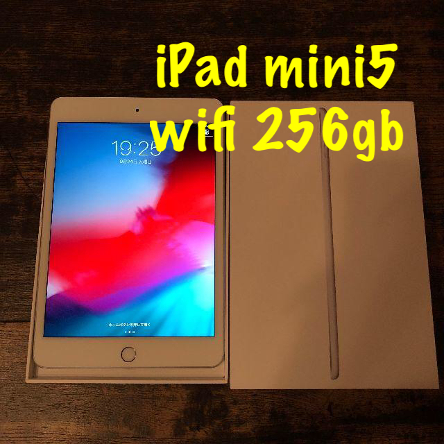 ⑬ iPad mini5 wifi 256gb セット