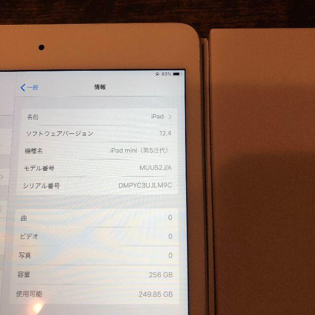 ⑬ iPad mini5 wifi 256gb セット