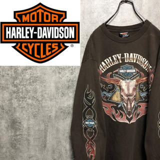 ハーレーダビッドソン(Harley Davidson)の【激レア】ハーレーダビッドソン☆ビッグロゴファイヤーパターンサイドプリントロンT(Tシャツ/カットソー(七分/長袖))