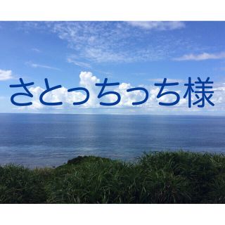 アラシ(嵐)のさとっちっち様専用(チャーム)